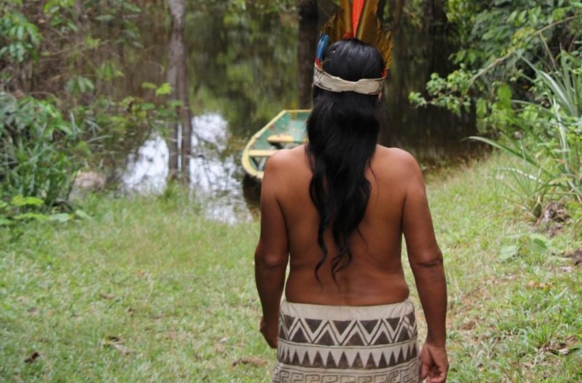  Os indígenas e a covid-19 no Brasil