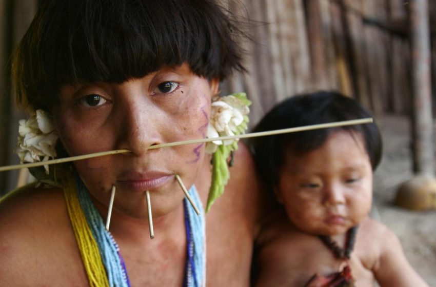  O povo Yanomami está em crescente genocídio