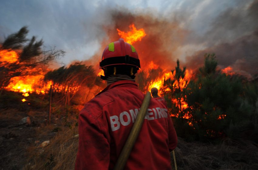  No início do 2.º trimestre já arderam mais de 7 mil hectares