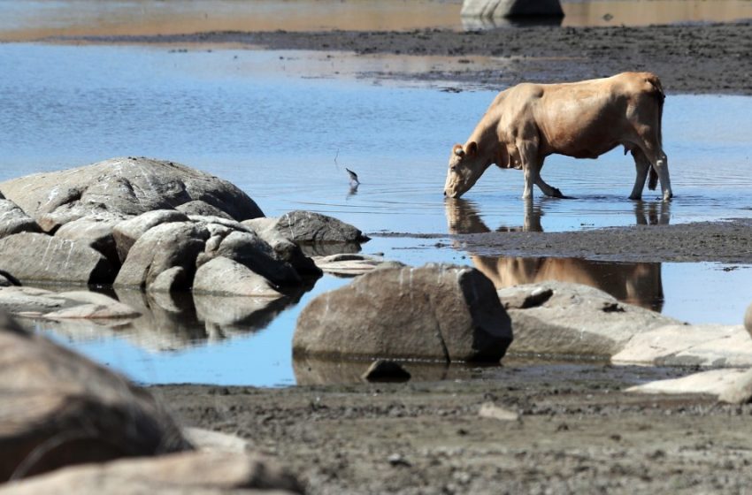  Em maio, seca afeta 40% do país