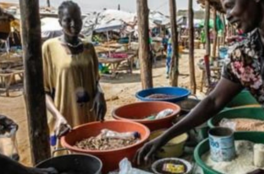  Crise de fome está a atingir o Sudão do Sul por causa da guerra