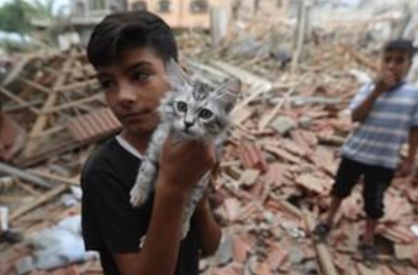  A resignação da Humanidade 