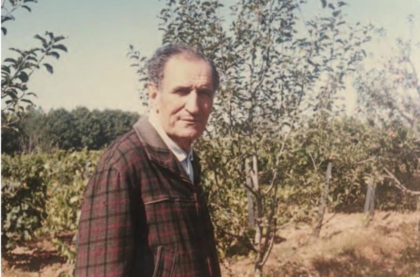  Miguel Torga e a realidade telúrica do país