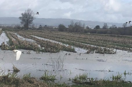 Todas as condições reunidas para uma grande cheia no Mondego