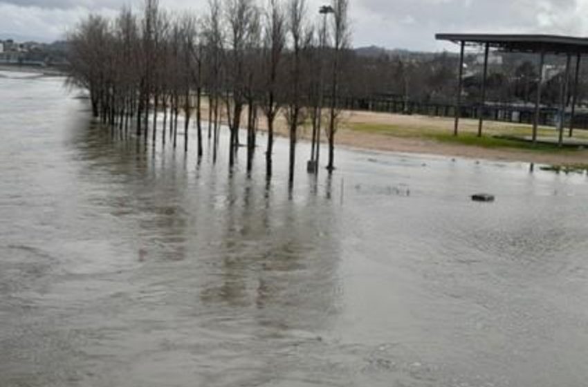 Geógrafo Alberto Rio Fernandes: “Infraestruturas críticas entregues a interesses privados”