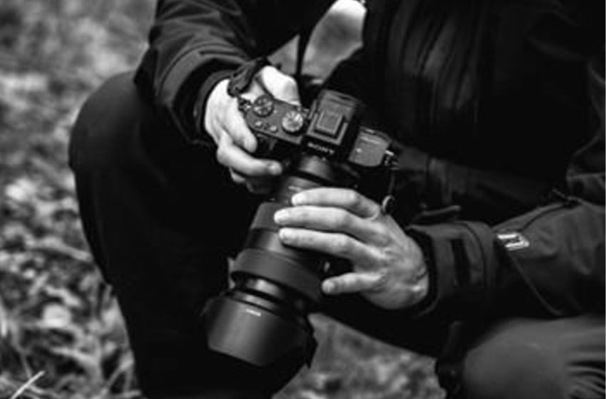  Obra artística destruída por vingança