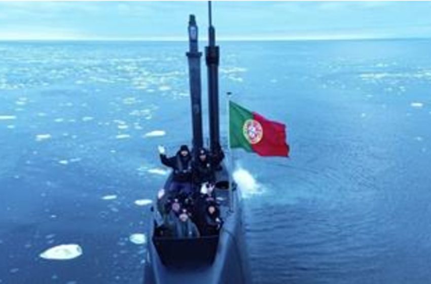  Arpão alargou “opções táticas” para combate subaquático no Ártico