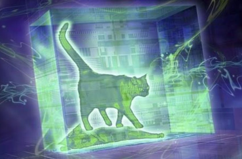  A pomba, o coelho e o gato de Schrödinger