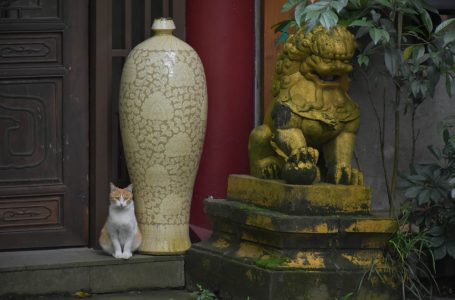 Crónica da China: 25.º dia