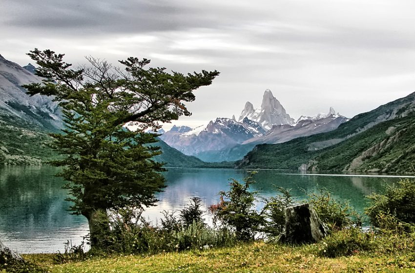 Patagónia