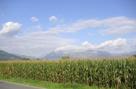 Alterações climáticas alteram a agricultura e a pecuária