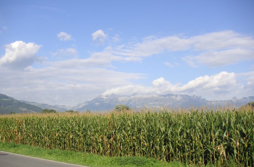  Alterações climáticas alteram a agricultura e a pecuária